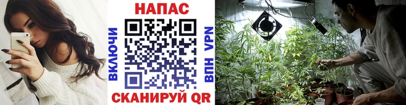 продажа наркотиков  кракен сайт  Шишки марихуана THC 21%  Павловский Посад 